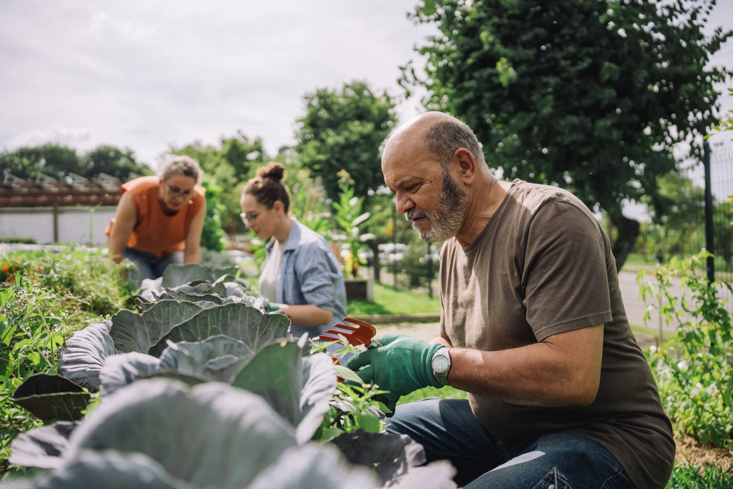 Friends tend vegetables in a community garden