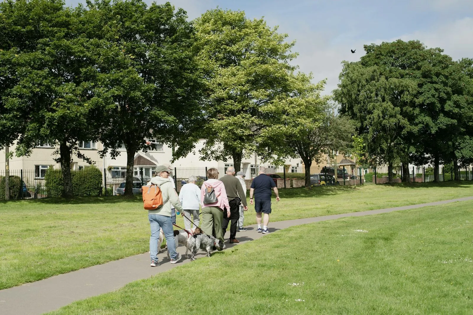 A walking group crosses a park on a sunny day