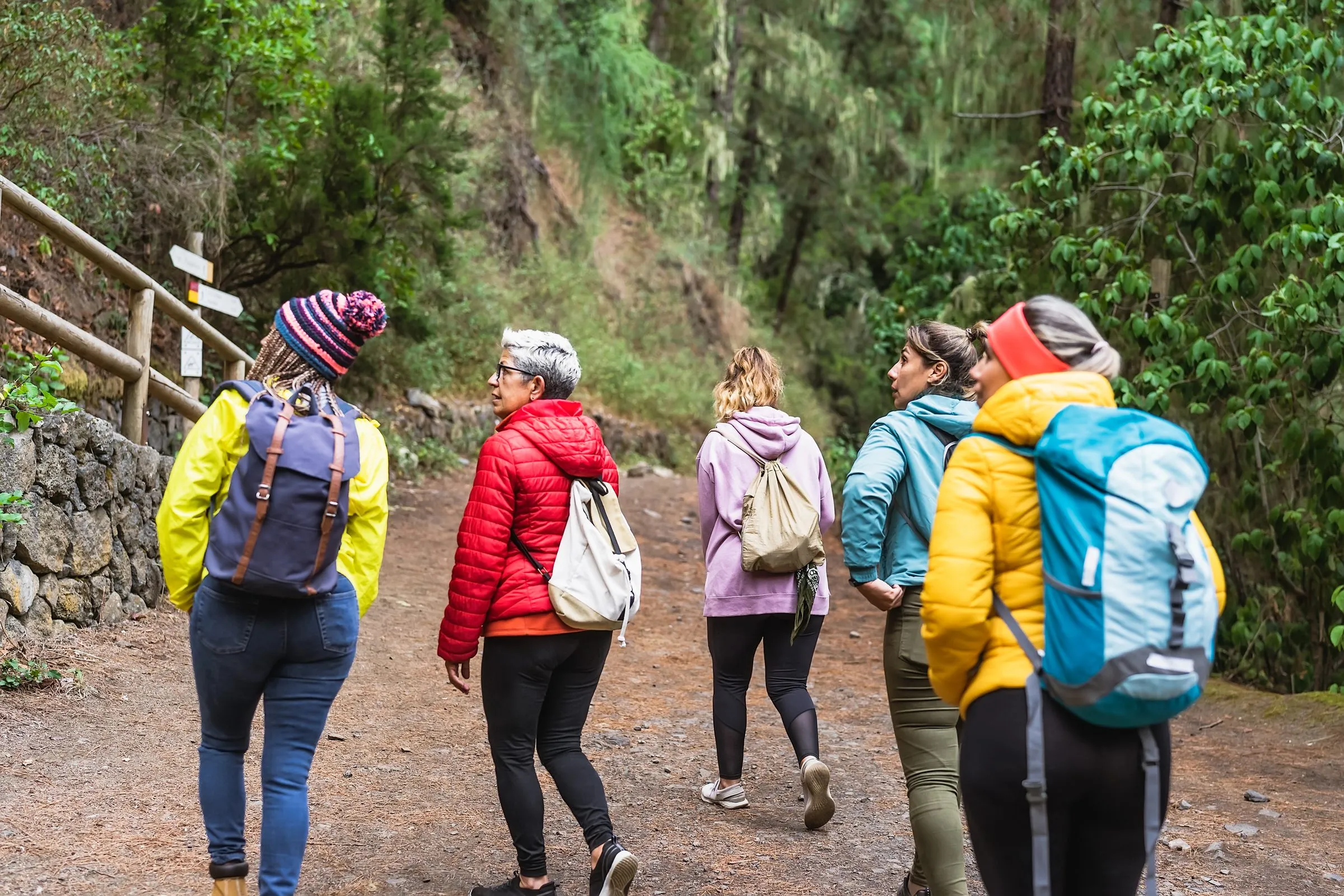A group of women walk along a woodland trail